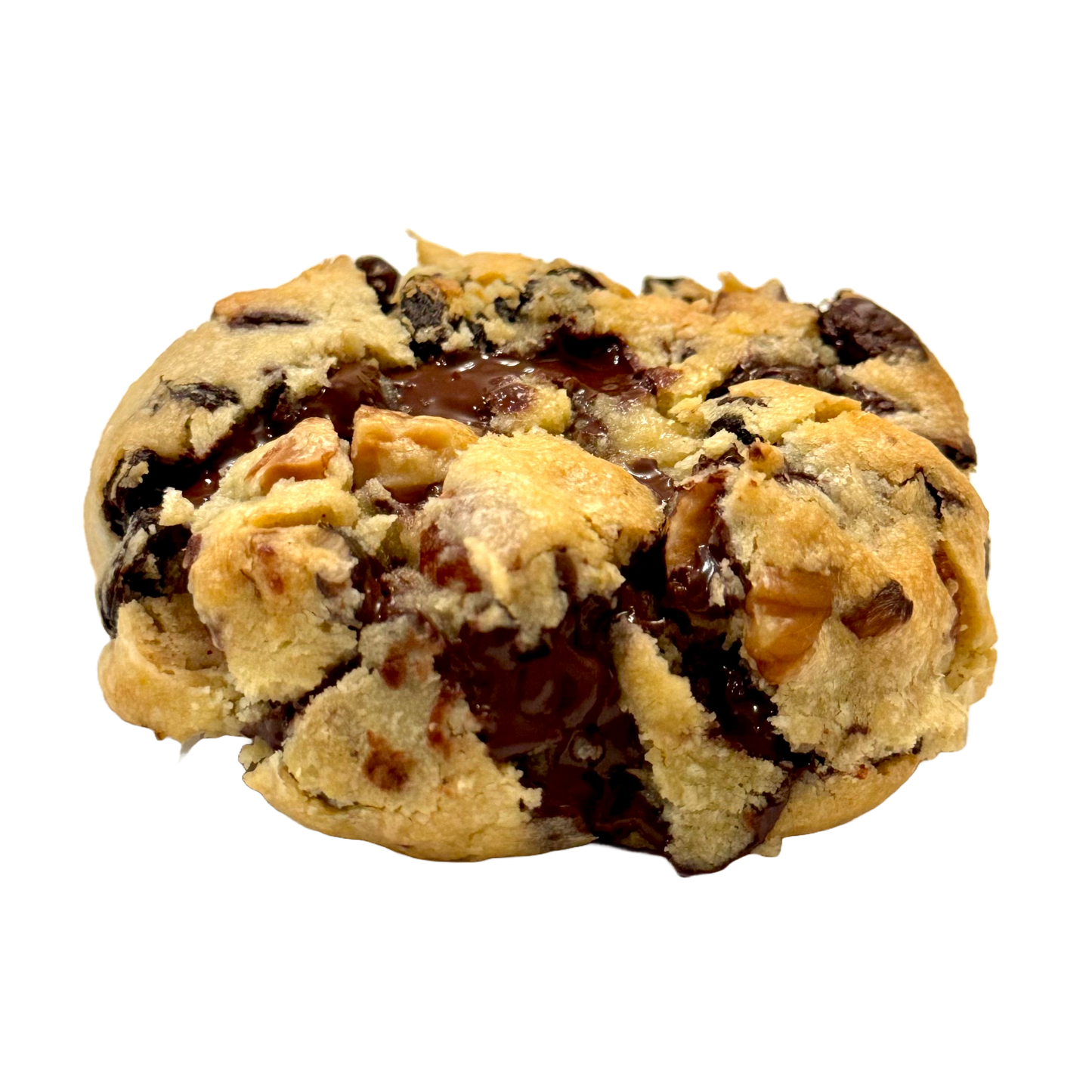 A. Walnut Chocolate Chip Cookie
